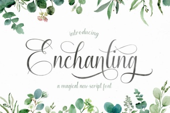 Elegant Script Fonts for Creative Projects