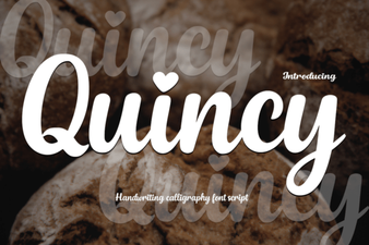 Quincy Font for Modern Web Design & Branding